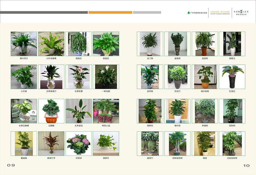廣州花場(chǎng)苗木畫冊(cè)設(shè)計(jì),花場(chǎng)苗木畫冊(cè)設(shè)計(jì)公司