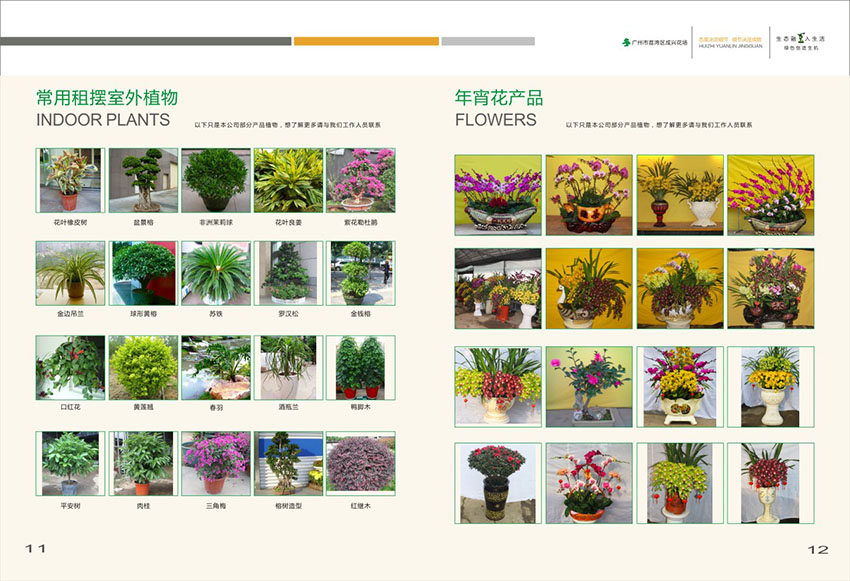 廣州花場(chǎng)苗木畫冊(cè)設(shè)計(jì),花場(chǎng)苗木畫冊(cè)設(shè)計(jì)公司