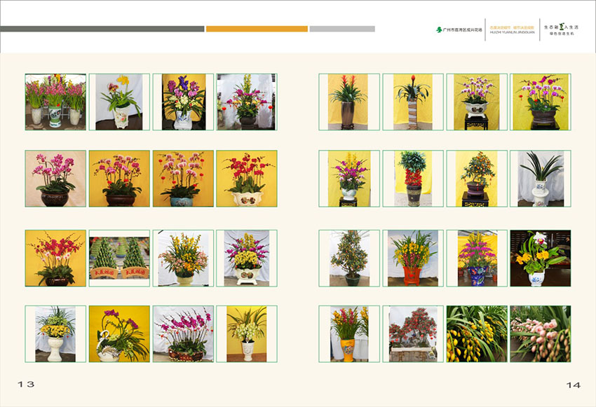 廣州花場(chǎng)苗木畫冊(cè)設(shè)計(jì),花場(chǎng)苗木畫冊(cè)設(shè)計(jì)公司