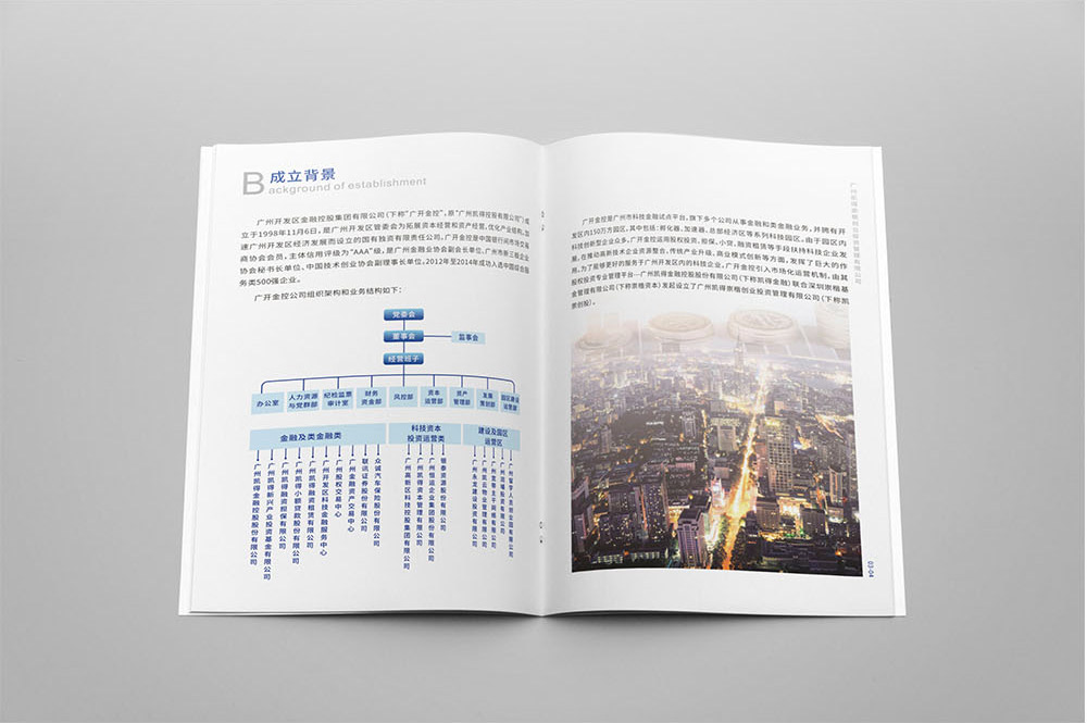 投資管理畫(huà)冊(cè)設(shè)計(jì),投資管理畫(huà)冊(cè)設(shè)計(jì)公司