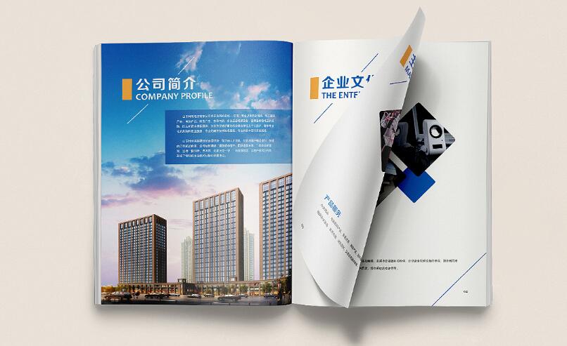 廣州電子畫冊樣板設計案例欣賞 廣州電子畫冊樣板設計案例欣賞