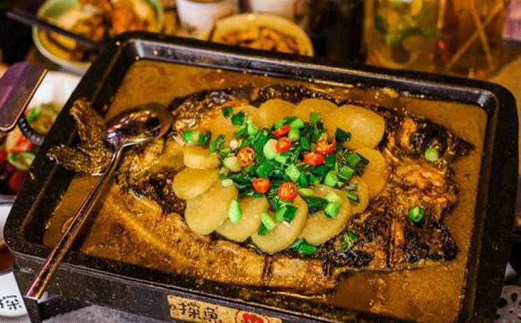 探魚vi設計 探魚vi設計