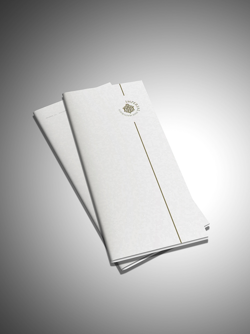 美博會展會品牌宣傳設計,美博會宣傳冊設計