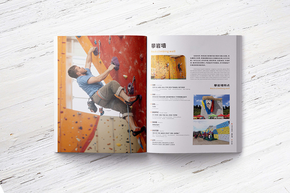 具有真實性傳播的畫冊設計 具有真實性傳播的畫冊設計