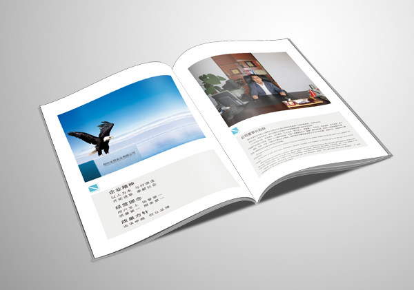 怎樣才是一本好的畫冊？