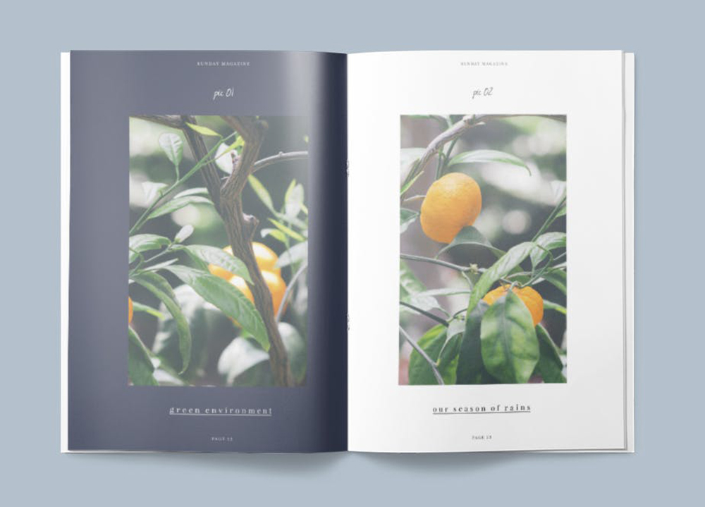 畫冊(cè)設(shè)計(jì)印刷多少錢？畫冊(cè)設(shè)計(jì)費(fèi)是怎么定價(jià)？