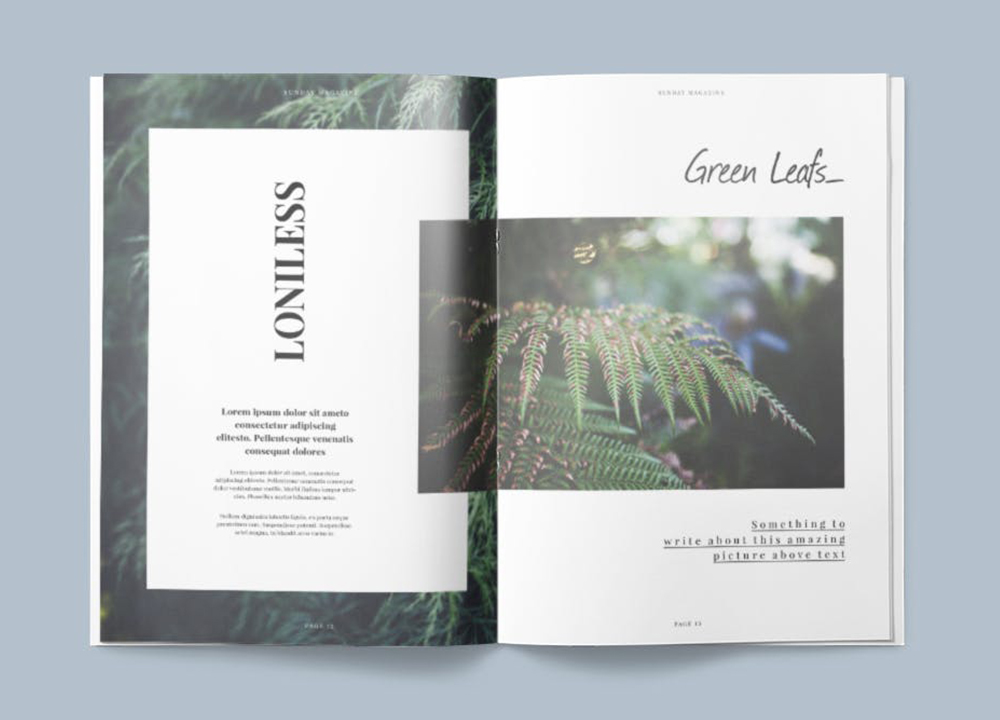 排版一般一頁(yè)多少錢？排版設(shè)計(jì)有什么方式？