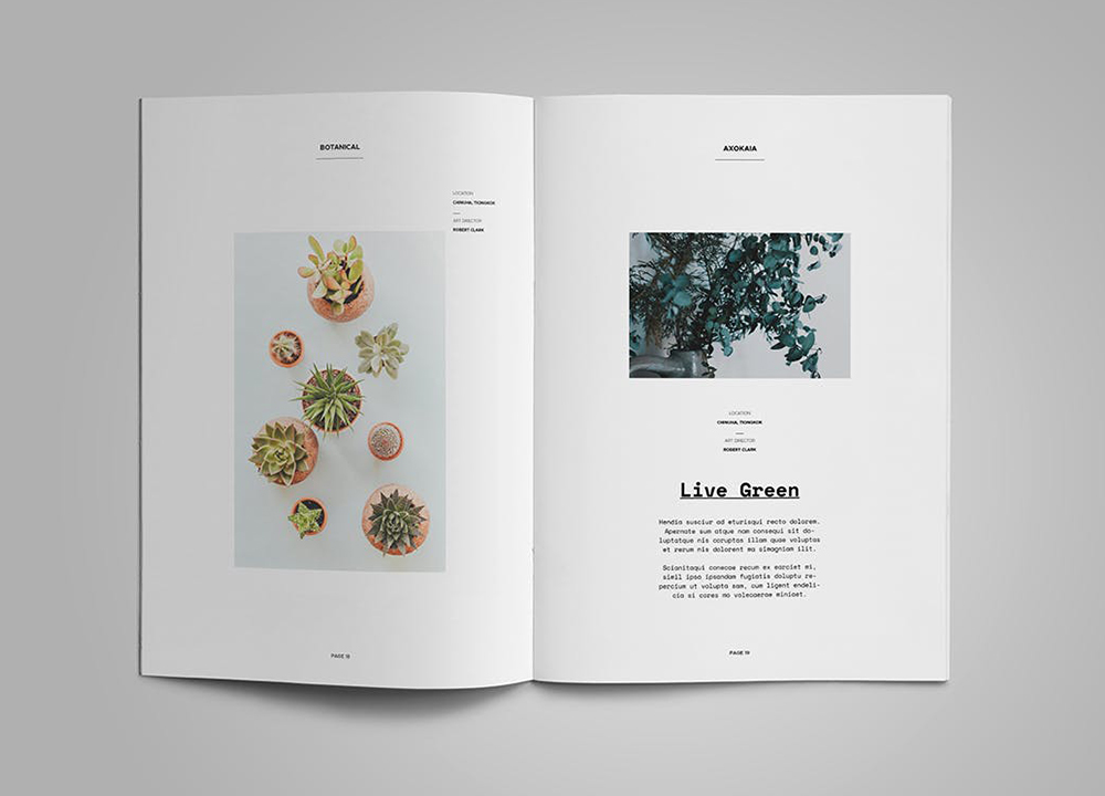 畫冊設計 畫冊設計