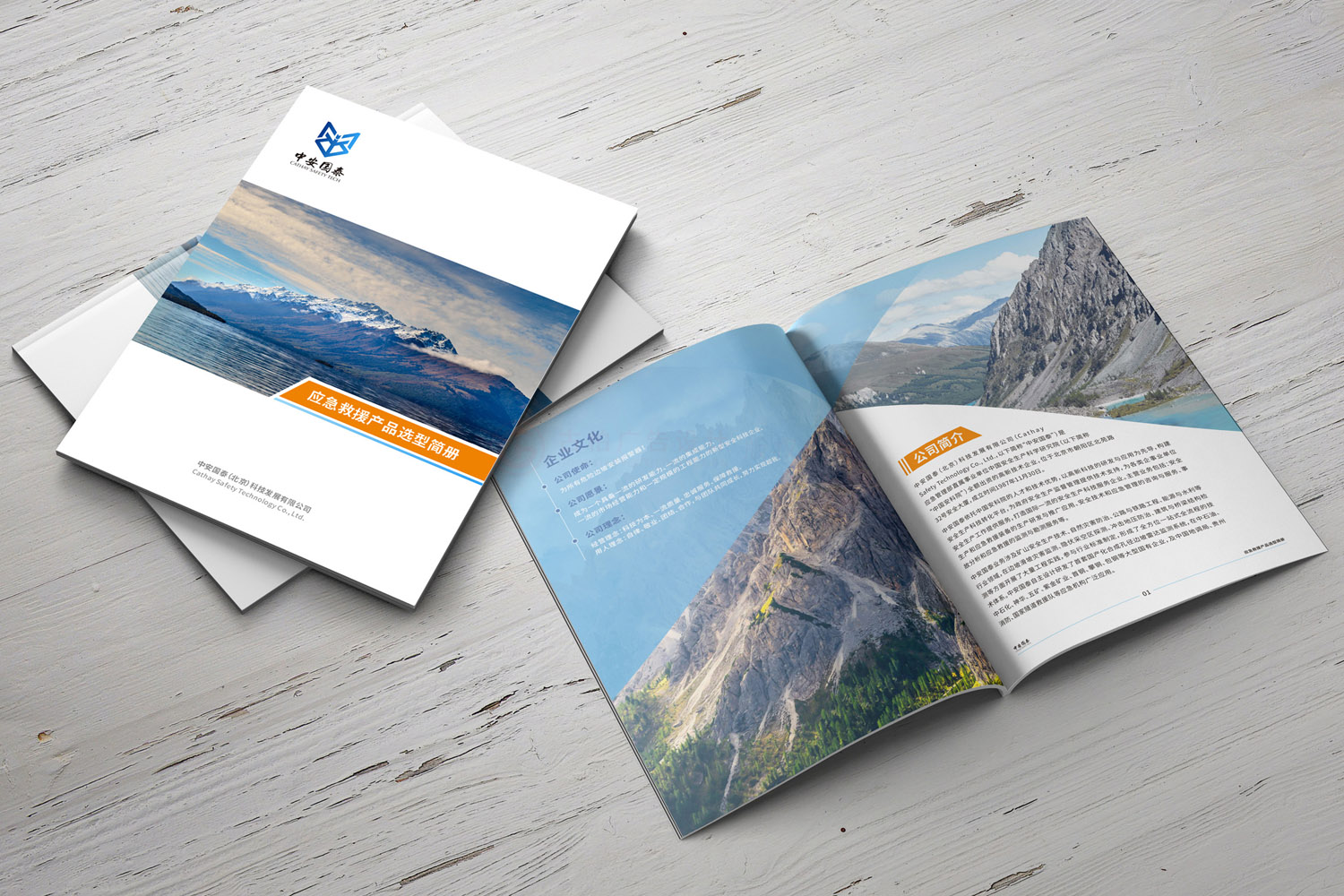 企業(yè)宣傳冊設(shè)計(jì)公司