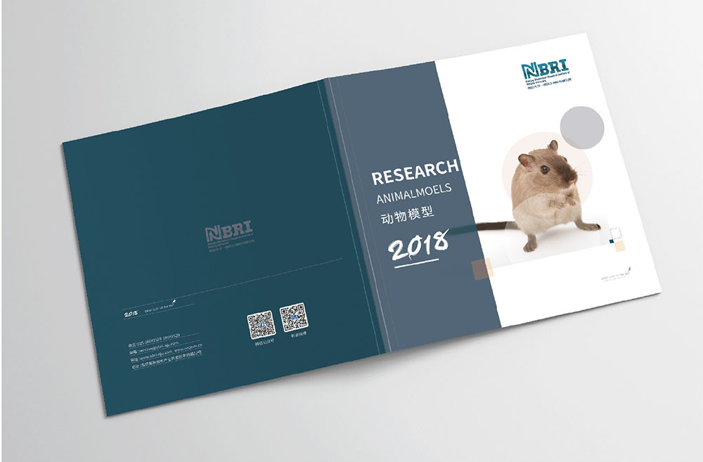 模型企業(yè)畫(huà)冊(cè)設(shè)計(jì),模型企業(yè)畫(huà)冊(cè)設(shè)計(jì)公司