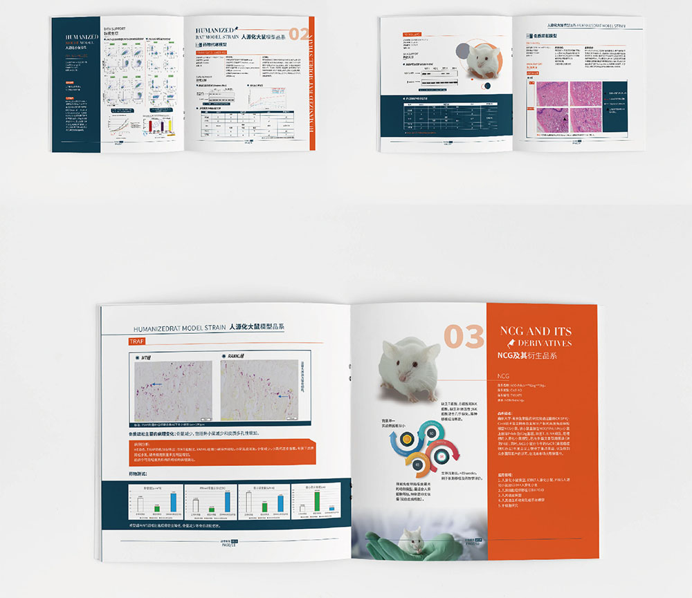 模型企業(yè)畫(huà)冊(cè)設(shè)計(jì),模型企業(yè)畫(huà)冊(cè)設(shè)計(jì)公司