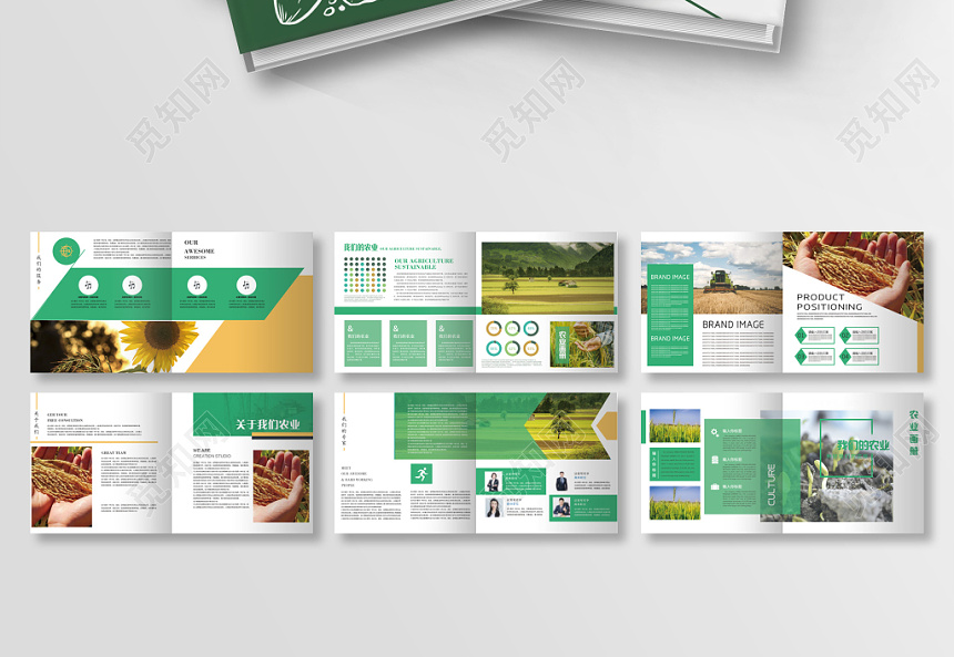 個性畫冊設計 個性畫冊設計