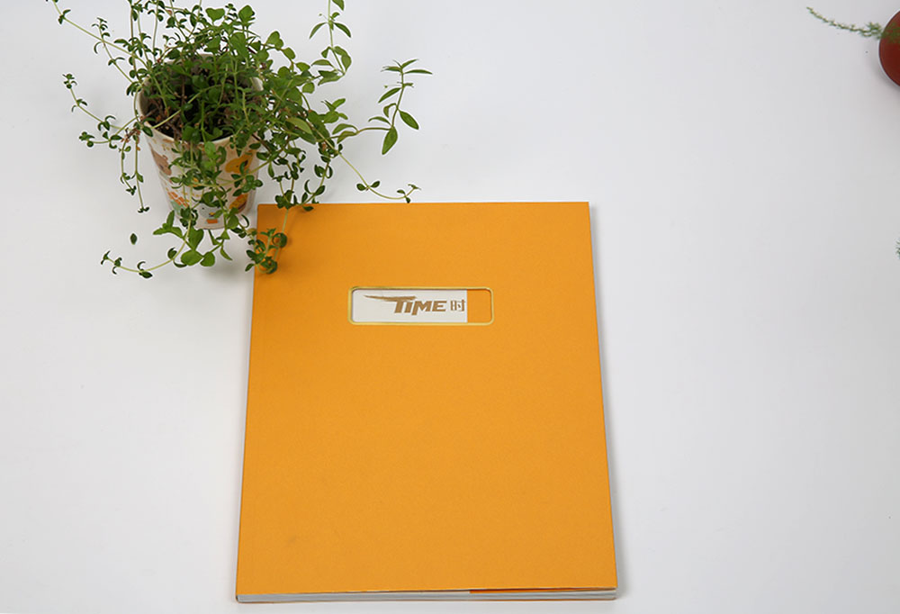 高端商務畫冊印刷,高端商務畫冊印刷公司 高端商務畫冊印刷,高端商務畫冊印刷公司