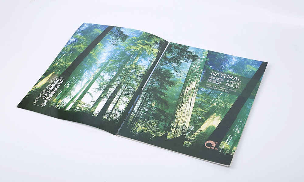 產(chǎn)品手冊(cè)設(shè)計(jì)印刷,產(chǎn)品手冊(cè)設(shè)計(jì)印刷公司