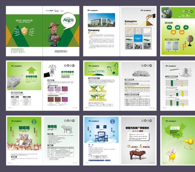 美術畫冊排版多少錢一頁 美術畫冊排版多少錢一頁