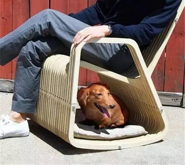 國外寵物創(chuàng)意產品設計