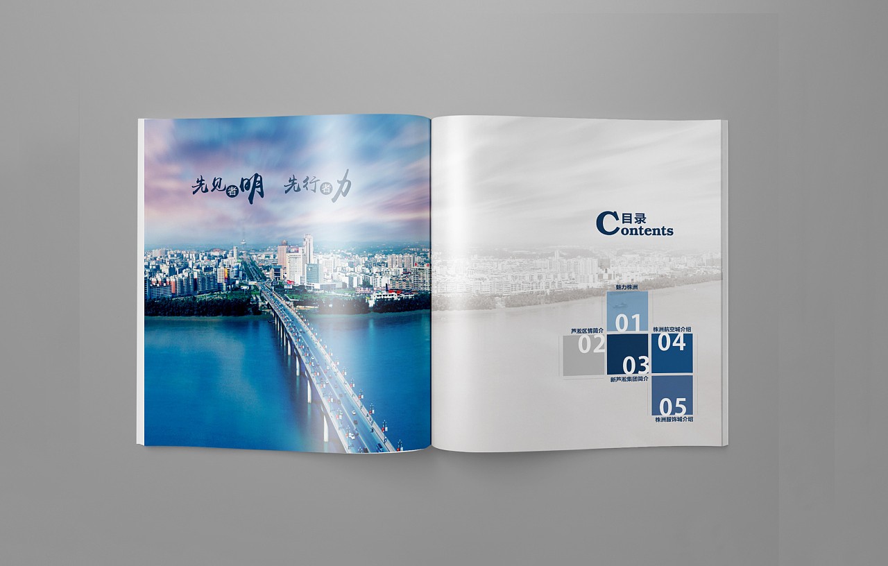 招商引資企業畫冊設計案例,招商引資企業畫冊設計案例欣賞 招商引資企業畫冊設計案例,招商引資企業畫冊設計案例欣賞