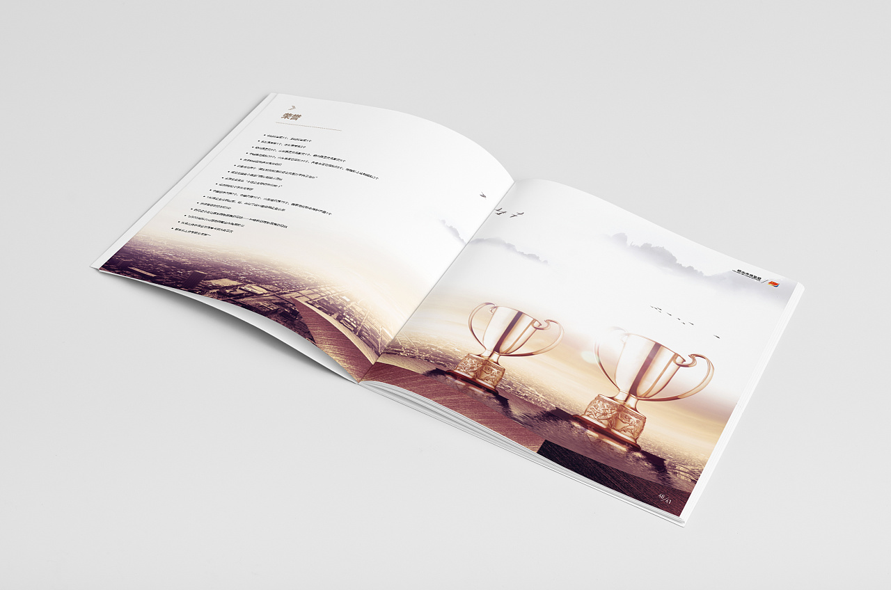 黨建畢業(yè)紀(jì)念冊設(shè)計(jì)-黨建紀(jì)念冊設(shè)計(jì)公司