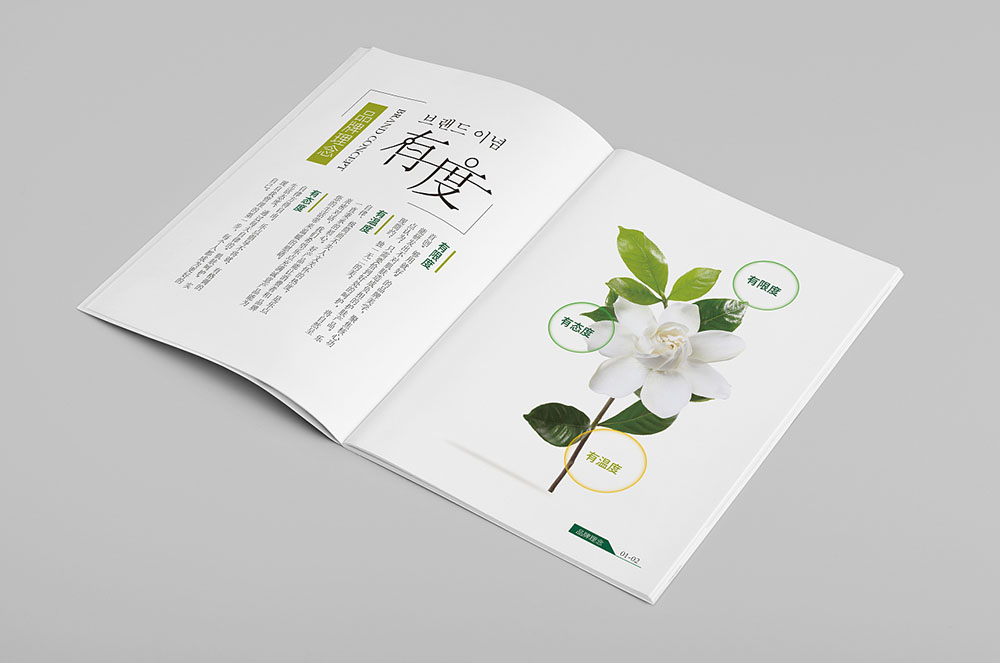 美妝畫冊設(shè)計