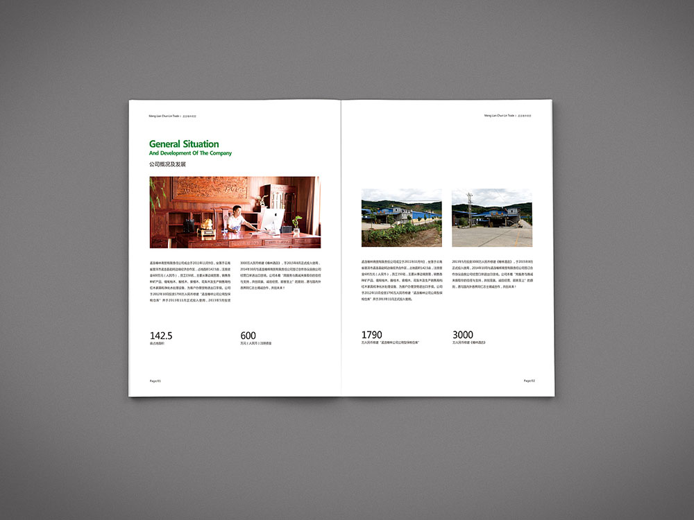 貿(mào)易行業(yè)畫冊(cè)設(shè)計(jì),貿(mào)易行業(yè)畫冊(cè)設(shè)計(jì)公司