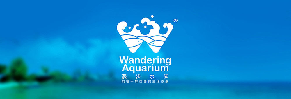 專業(yè)的LOGO設(shè)計師哪些錯誤絕對不能犯？