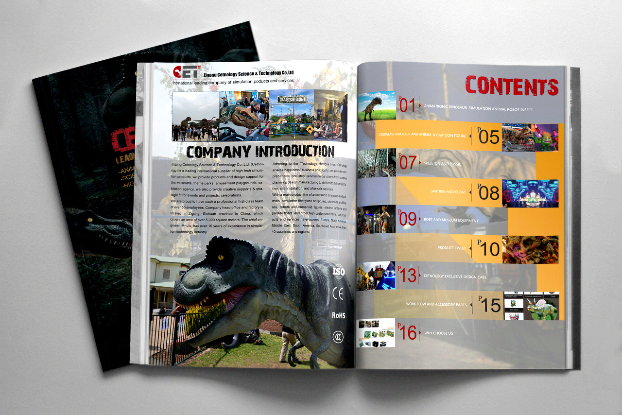 畫冊彩頁印刷,畫冊彩頁印刷公司 畫冊彩頁印刷,畫冊彩頁印刷公司