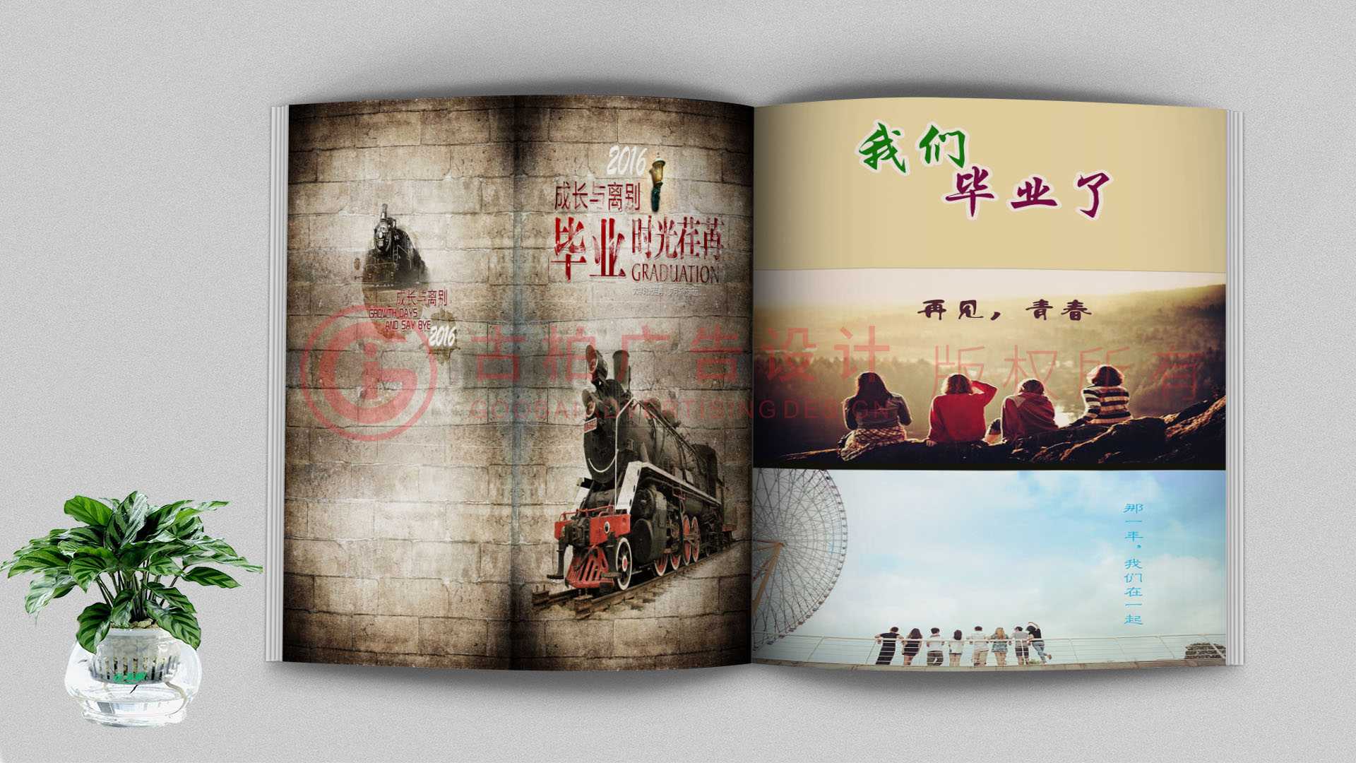 紀念冊有哪些類型 紀念冊有哪些類型