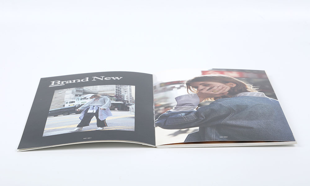 集團(tuán)畫(huà)冊(cè)字體費(fèi)用多少？