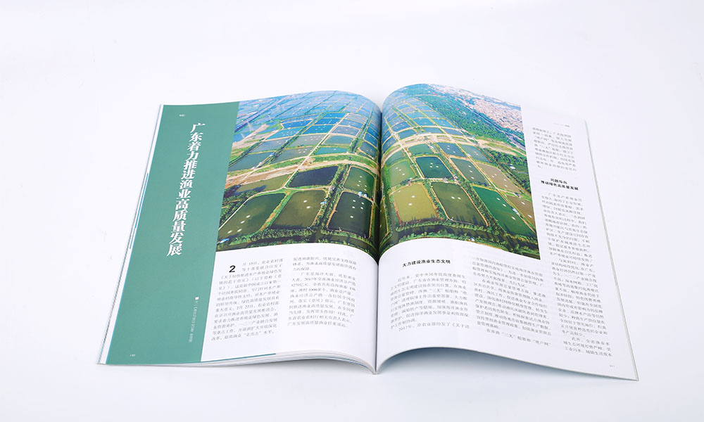 房地產(chǎn)畫(huà)冊(cè)價(jià)格做多久？